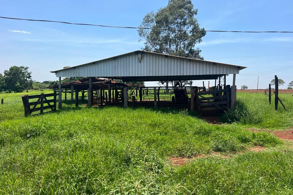 SITIO-BOM-JARDIM-WAGNER (10)
