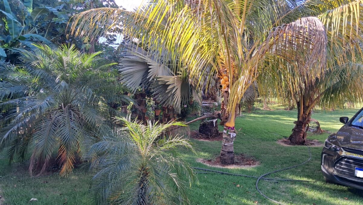 RANCHO BARRA DO SÃO FRNACISCO (13)