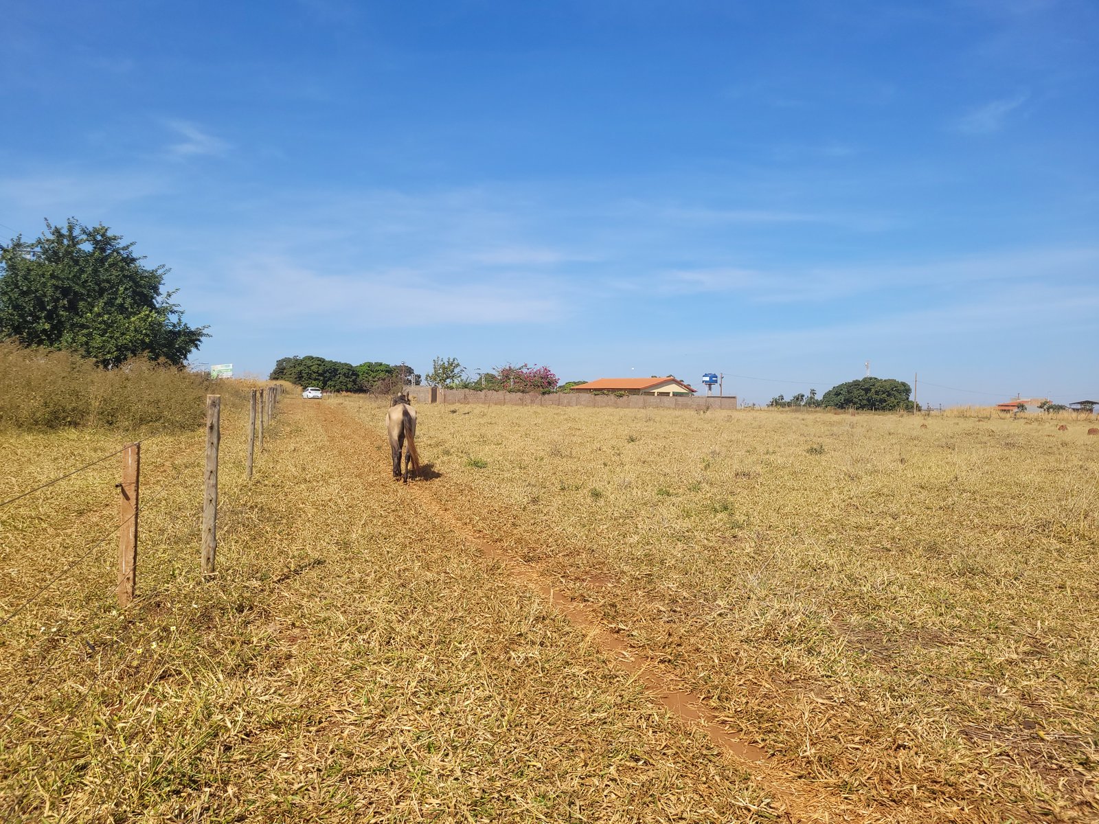 VENDE-SE TERRENO AS MARGENS DA GO 164 – QUIRINÓPOLIS-GO.