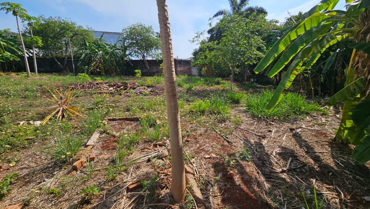 terreno - rui barbosa - adalberto 400mil (4)