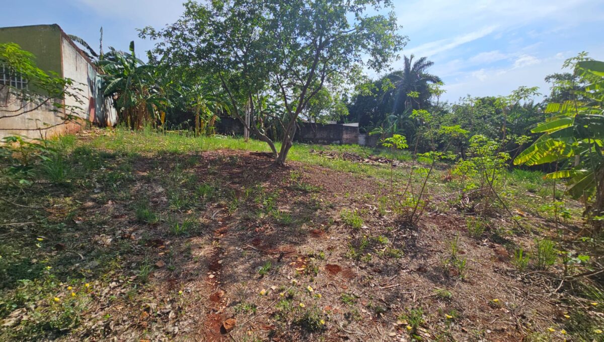 terreno - rui barbosa - adalberto 400mil (5)