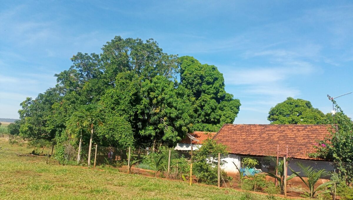chacara-guarirobas (9)
