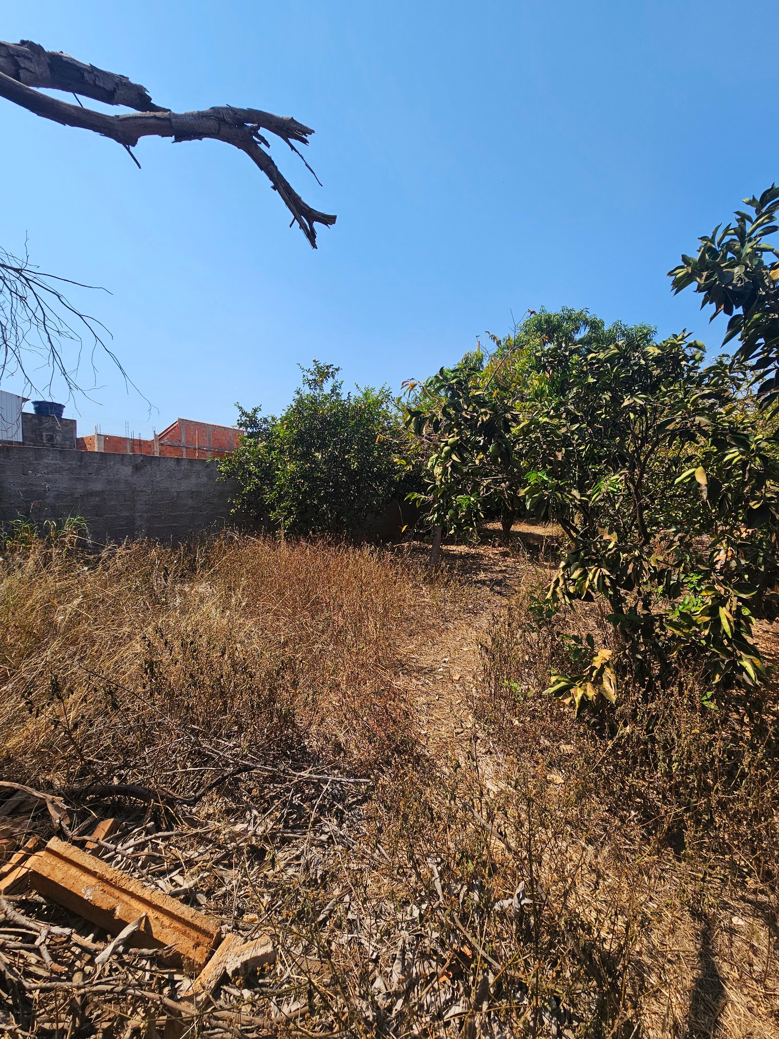 VENDE-SE TERRENO NO ALEXANDRINA – TERRENO DE ESQUINA.