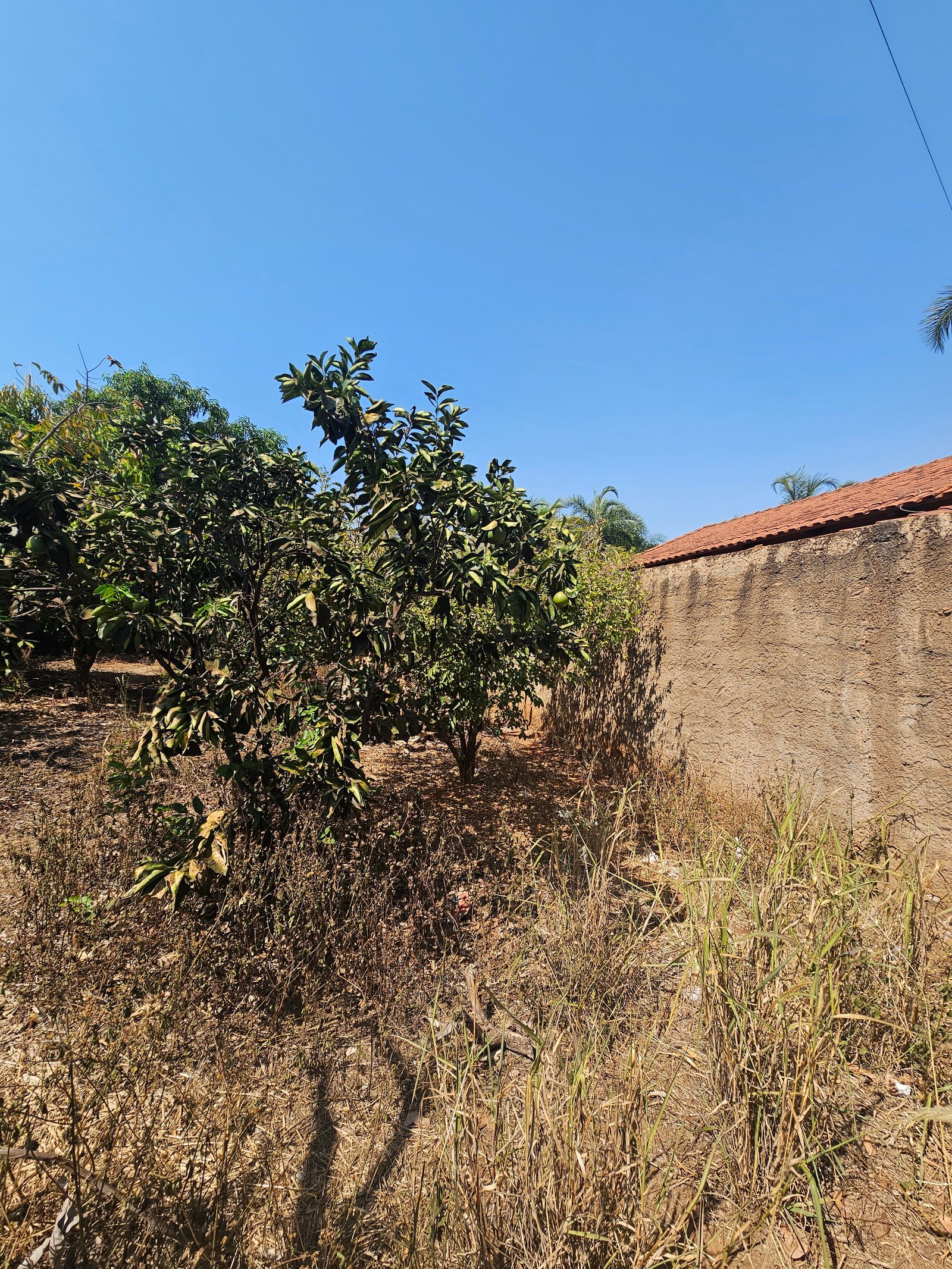 VENDE-SE TERRENO NO ALEXANDRINA – TERRENO DE ESQUINA.